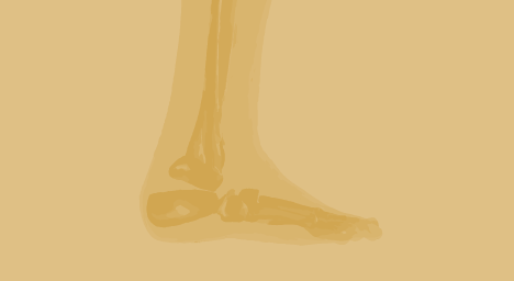 Foot &amp; Ankle Image 1