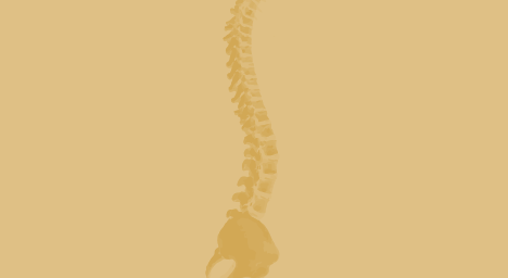 Spine Image 1