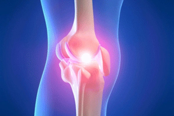 ACL Injury - The Comprehensive Guide to Anterior Cruciate Ligament Tear &  Sprain!